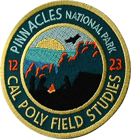 Embroidered Patches