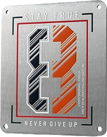 Metal Patches